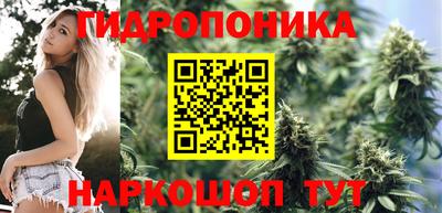 таблы Будённовск